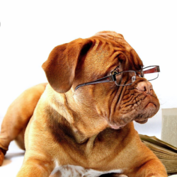 BAT Terugkomdag - zondag 29 november 2026