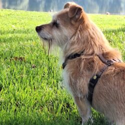 2026 BAT Verdiepings Event 16 / 17 mei