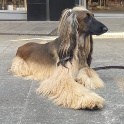 2026 BAT Verdiepings Event 7/ 8 februari