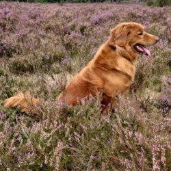 2026 BAT Verdiepings Event 21 / 22 november